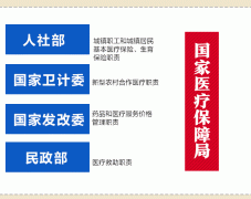 医保局来了!主导医改大洗牌